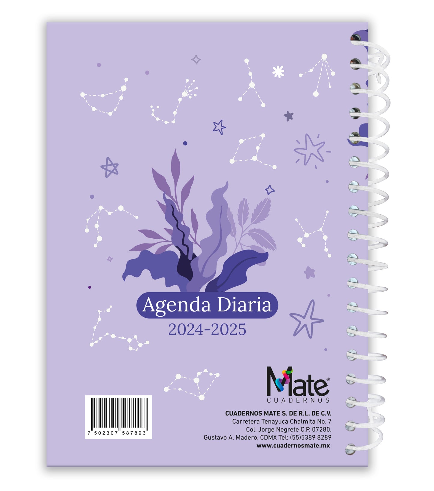 Agenda Diaria | Pasta Dura | 17 X 23.5 Cm | Escolar | V